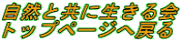 RƋɐ gbvy[W֖߂
